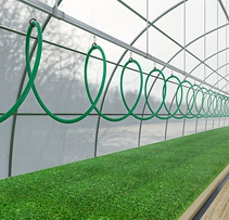 Green water hose hanging from trolleys on an overhead track in a greenhouse